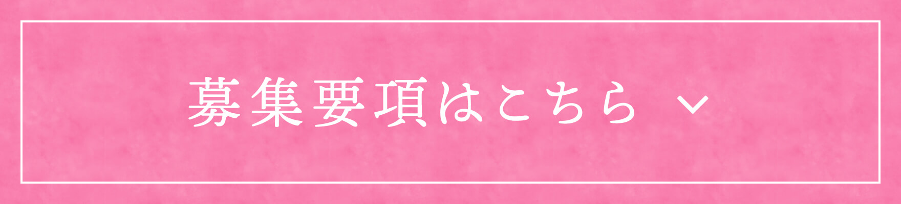 募集要項はこちら