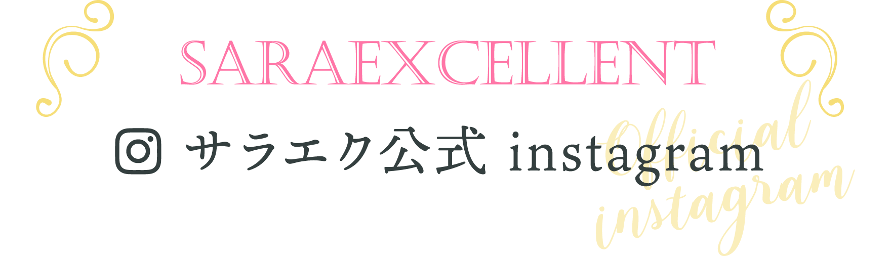 サラエク公式 instagram